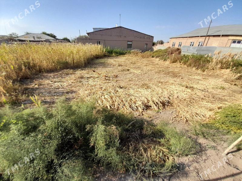 ot jowen - Gubadag - img 2