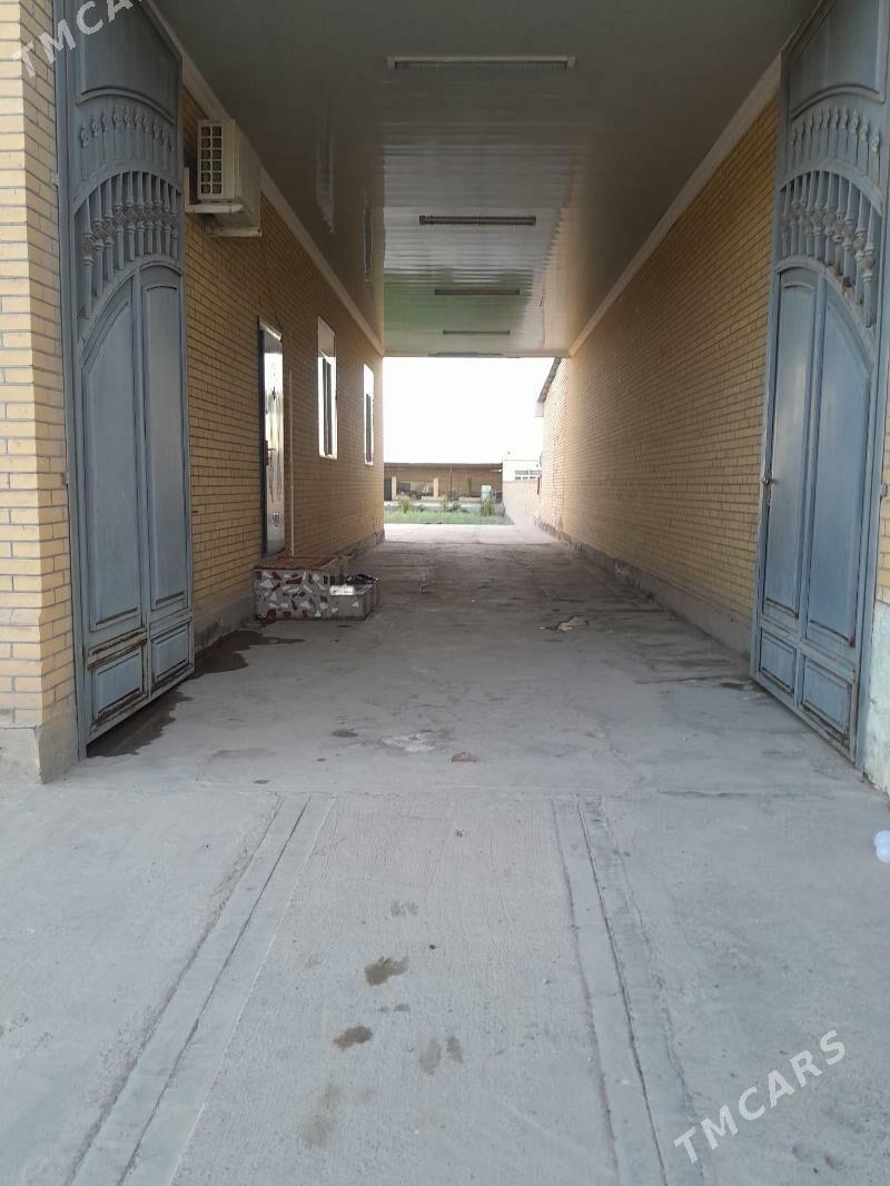 Howly jaÿ - Чарджоу - img 4