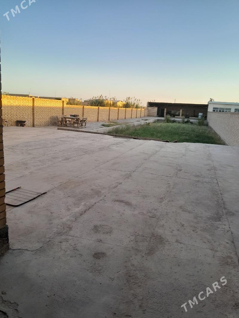 Howly jaÿ - Чарджоу - img 5