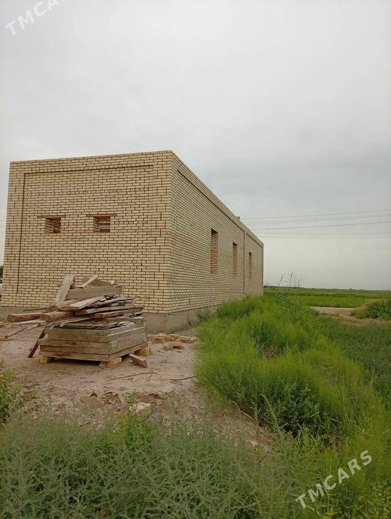 satlyk jaÿ - Мургап - img 1