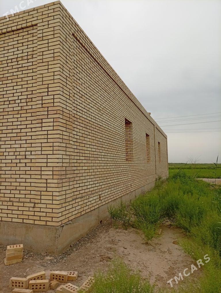 satlyk jaÿ - Мургап - img 2