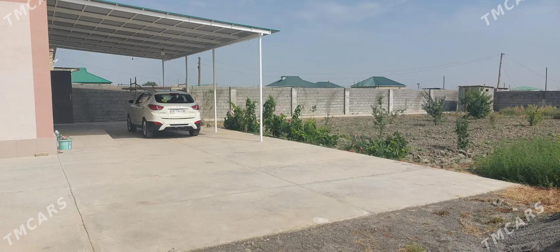 Śorgala Gokdepe - Gökdepe - img 4