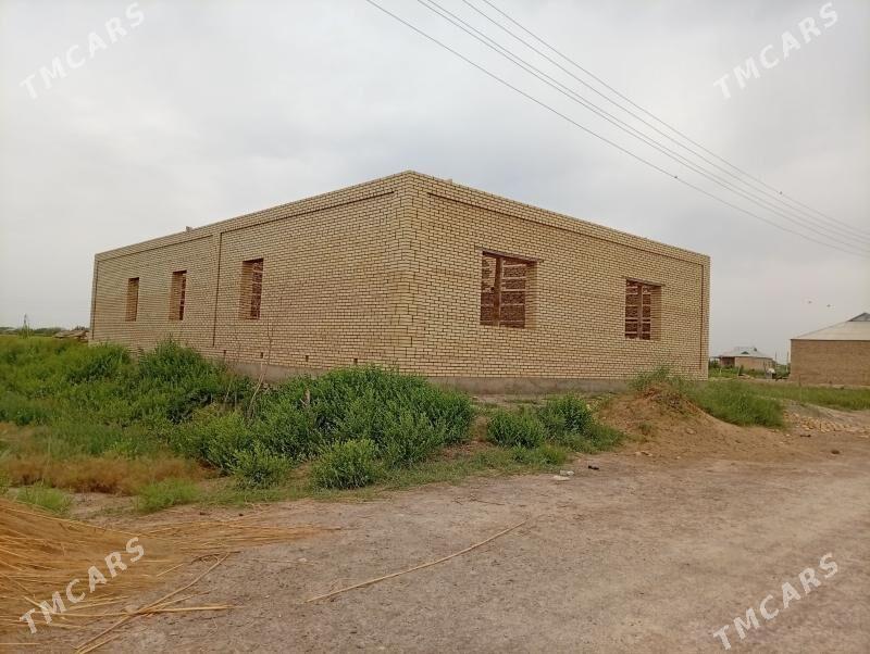 satlyk jaÿ - Мургап - img 5