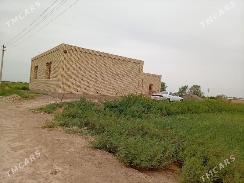 satlyk jaÿ - Мургап - img 8