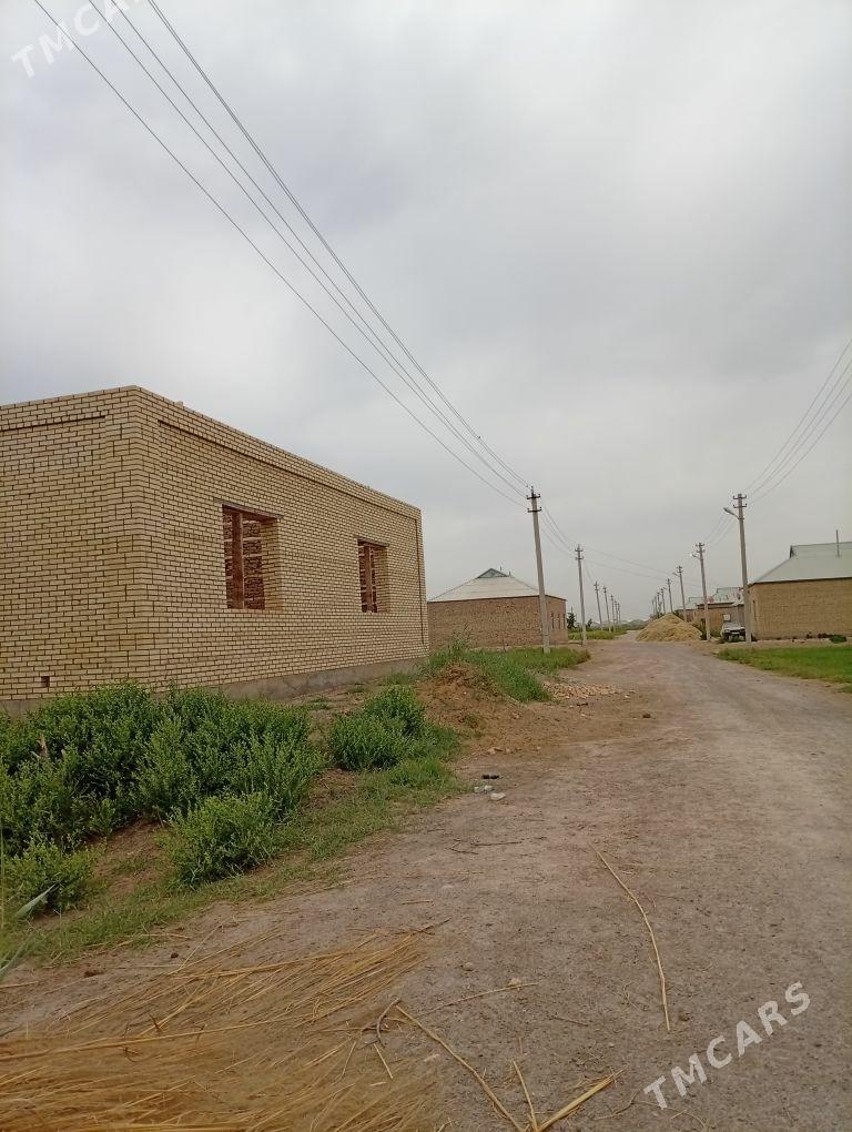 satlyk jaÿ - Мургап - img 4