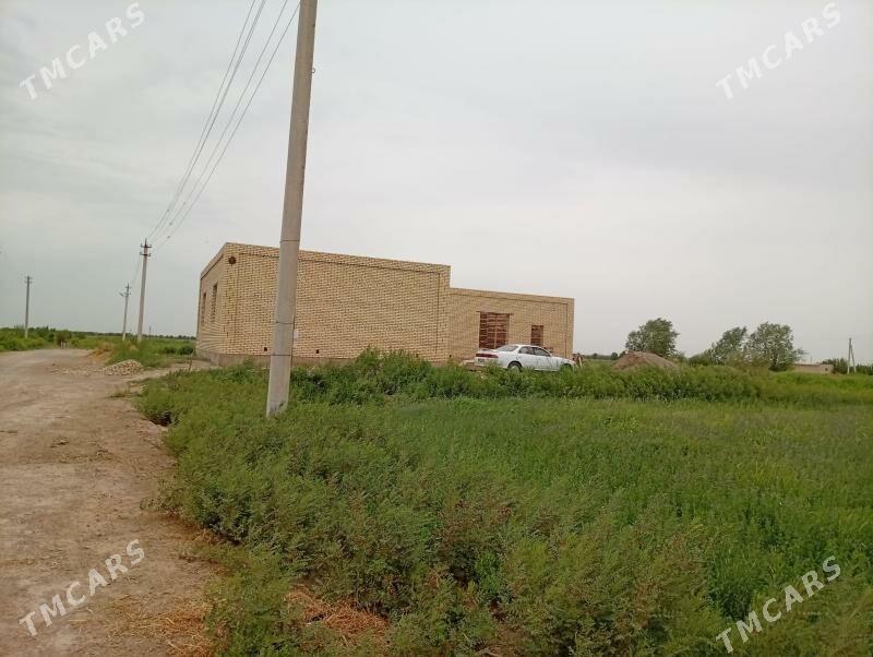 satlyk jaÿ - Мургап - img 7