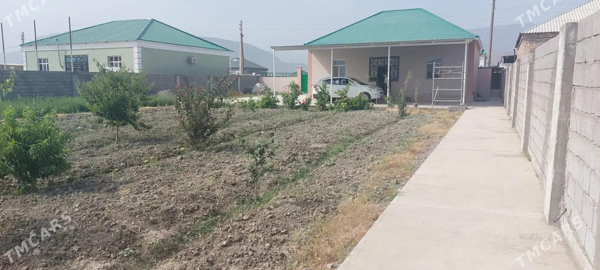 Śorgala Gokdepe - Gökdepe - img 5