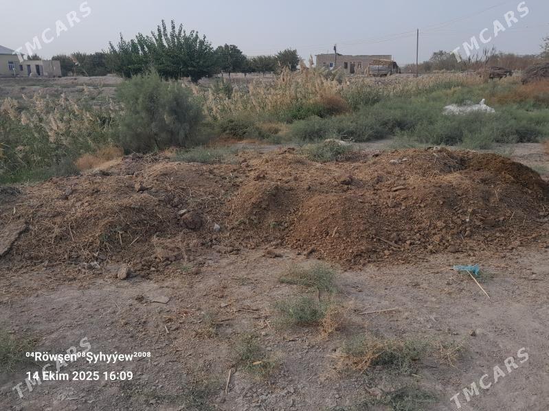 Sygyr dersi - Murgap - img 3