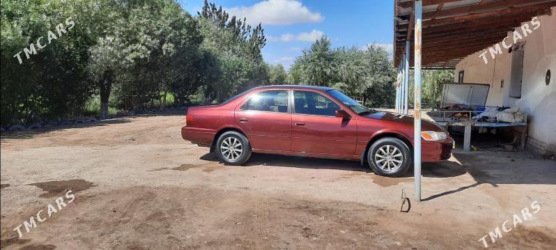 Toyota Camry 2001 - 150 000 TMT - Gubadag - img 7