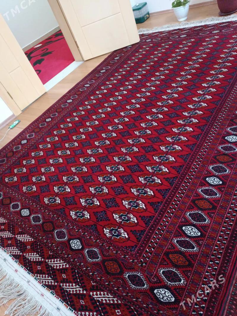 El haly - Ашхабад - img 2