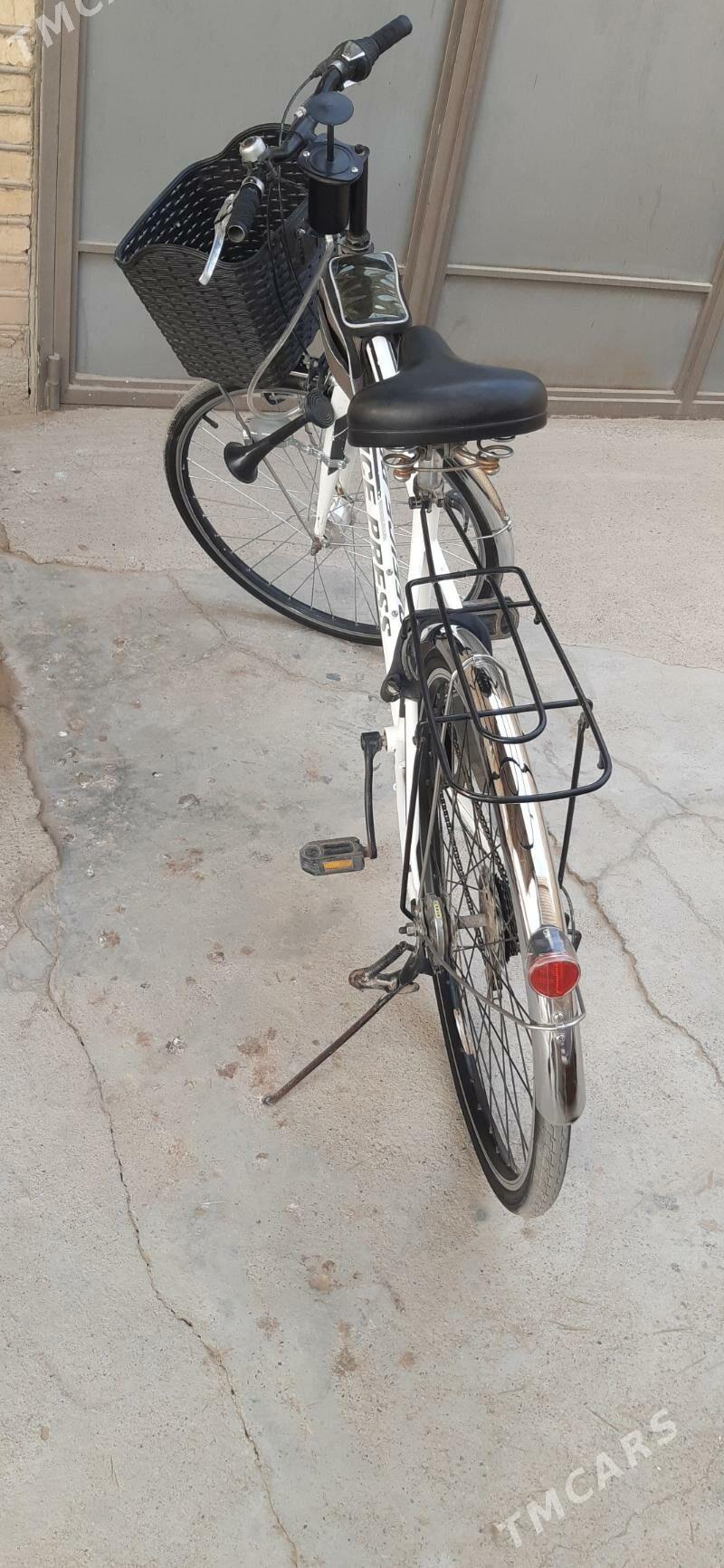 Tigir - Мары - img 4