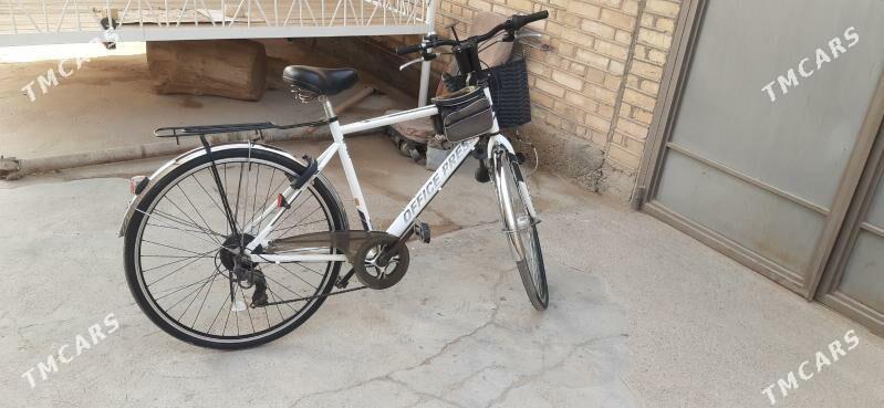 Tigir - Мары - img 2