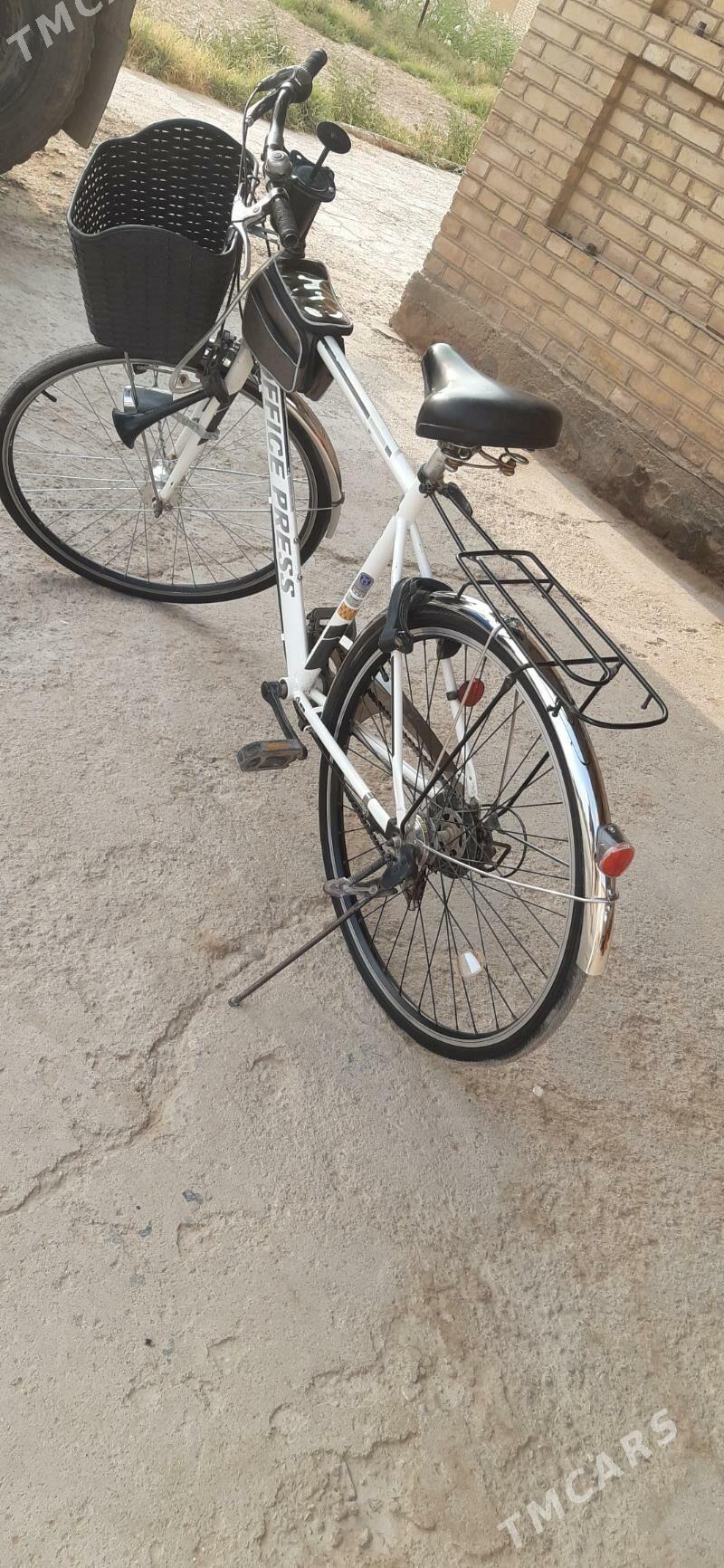 Tigir - Мары - img 5