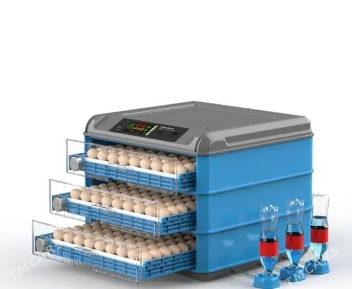 Inkubator - Гаудан "В" - img 4