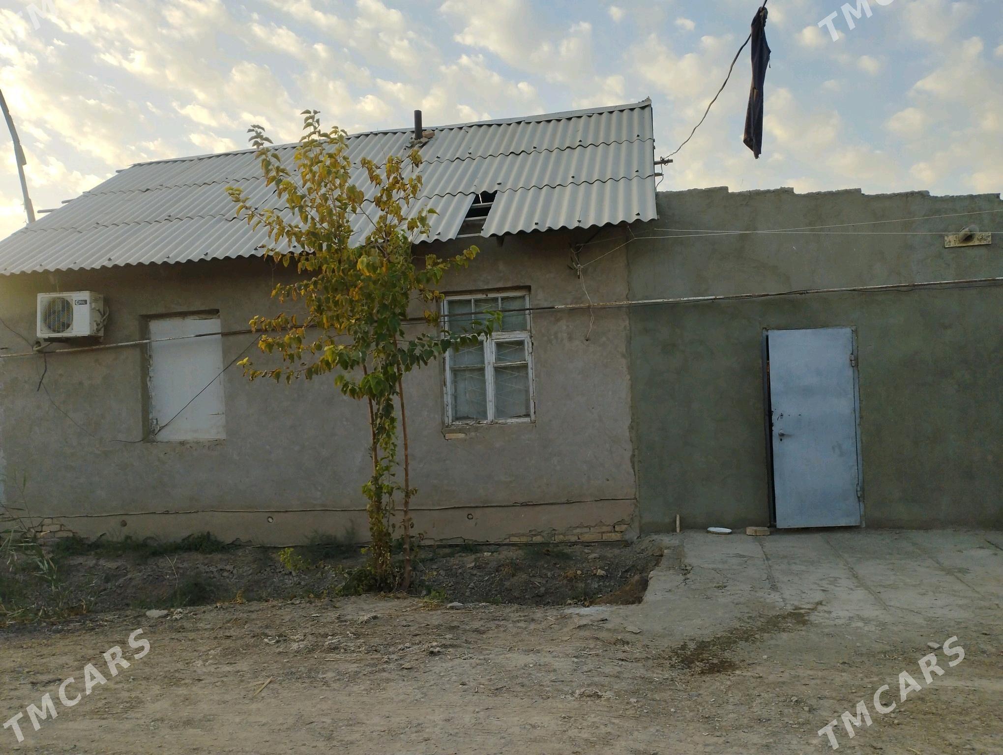 dachny jayy - Şabat etr. - img 6