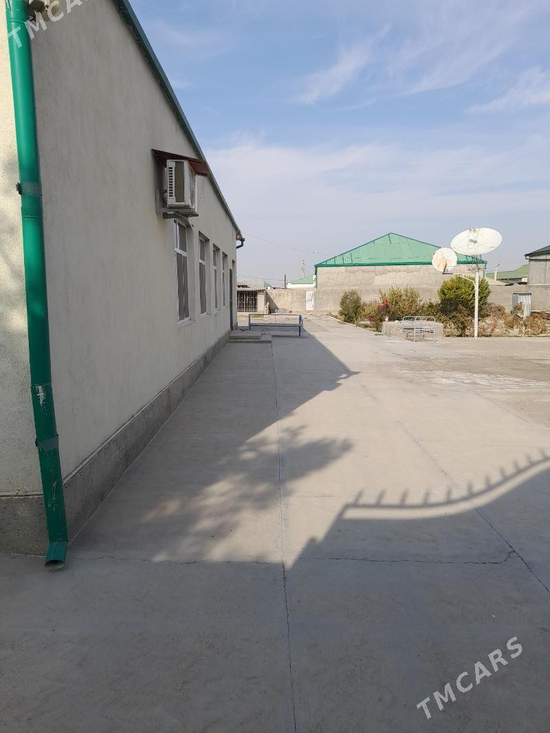 Magtymguly - Ak bugdaý etraby - img 2