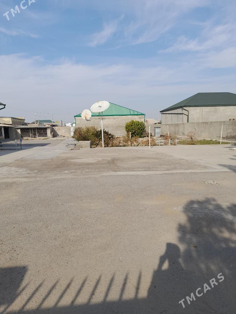 Magtymguly - Ak bugdaý etraby - img 3