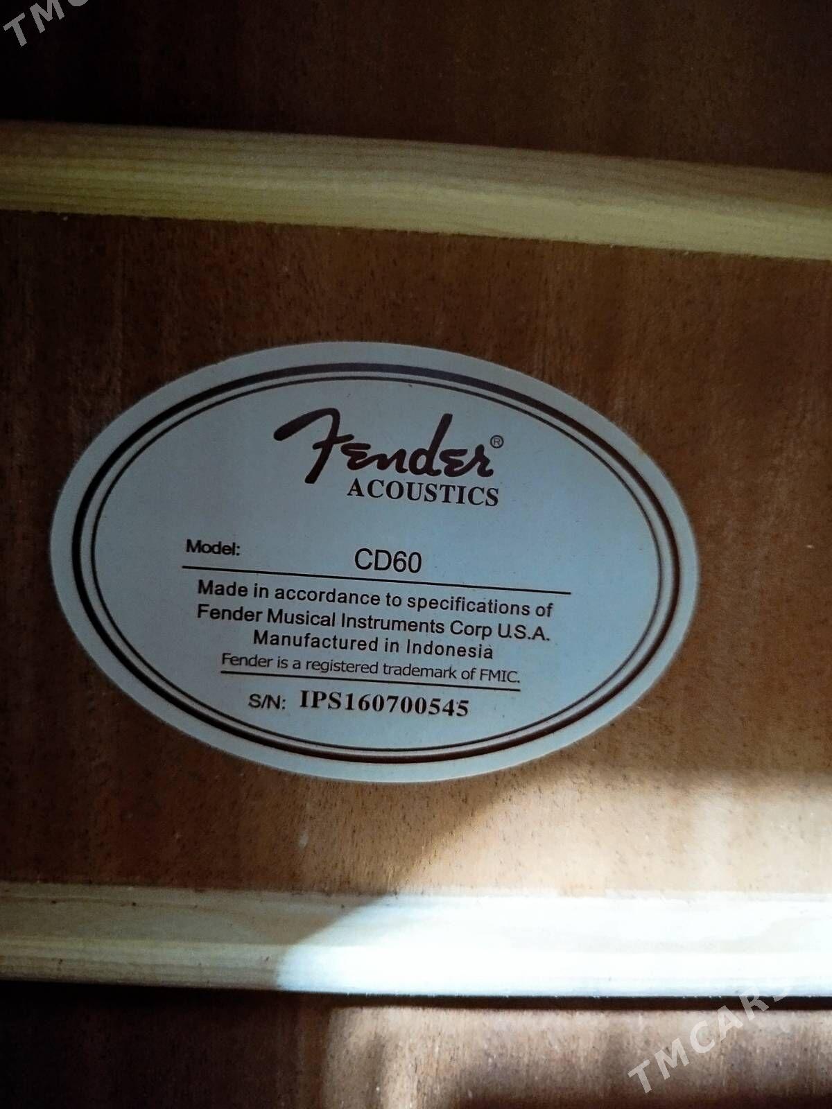 PAKET GITARA FENDER - Türkmenbaşy - img 3