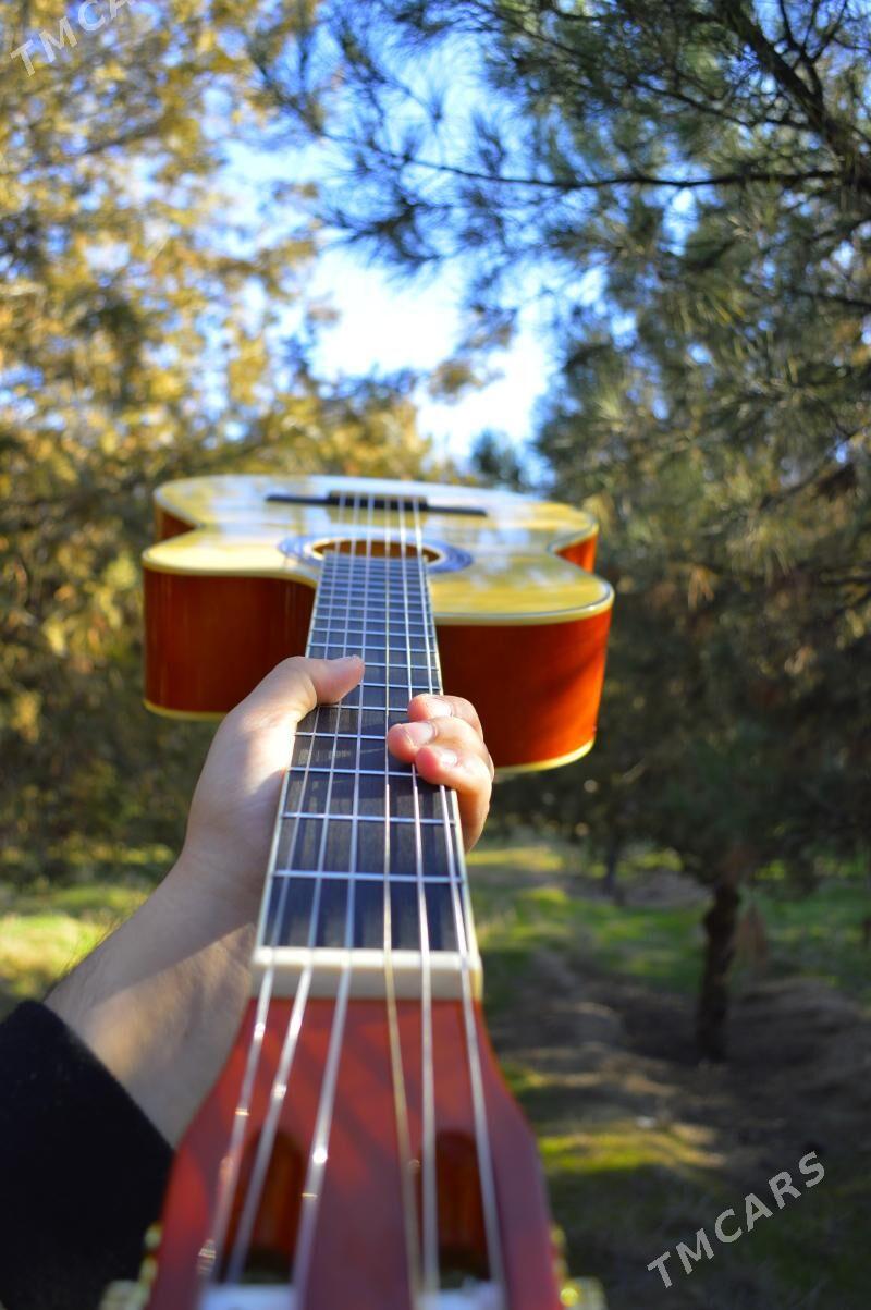 PAKET TAYSTE ELEKTRO KLASSIK - Туркменбаши - img 5