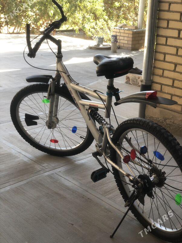 spartiwni Welik - Сакарчага - img 2