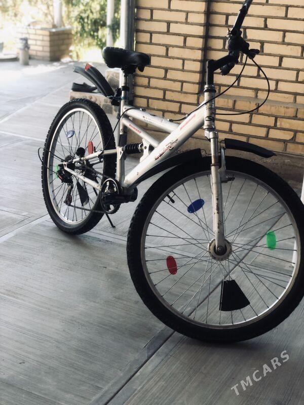 spartiwni Welik - Сакарчага - img 3