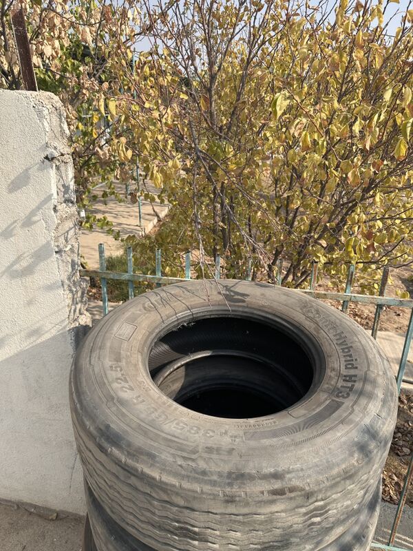 385/65/22.5 1 500 TMT - Ашхабад - img 7