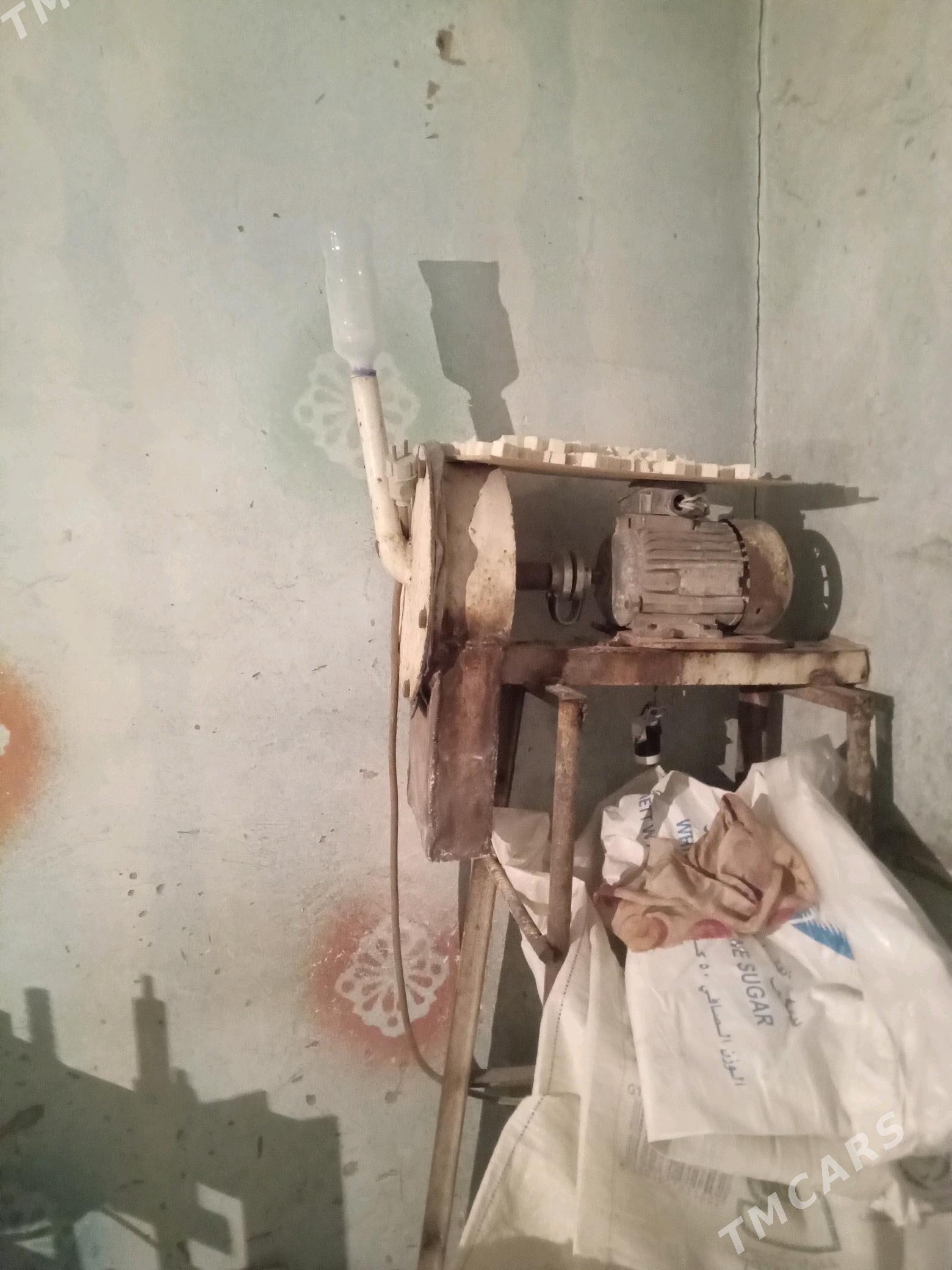 Gant stonok tokly - Mary - img 1