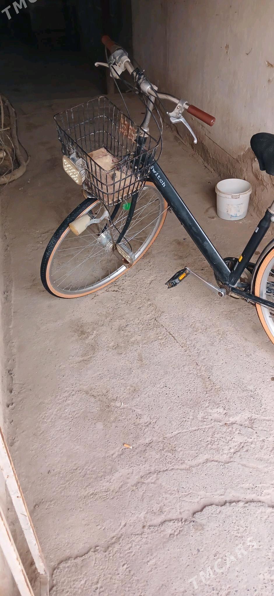 27 tigir - Tejen - img 2