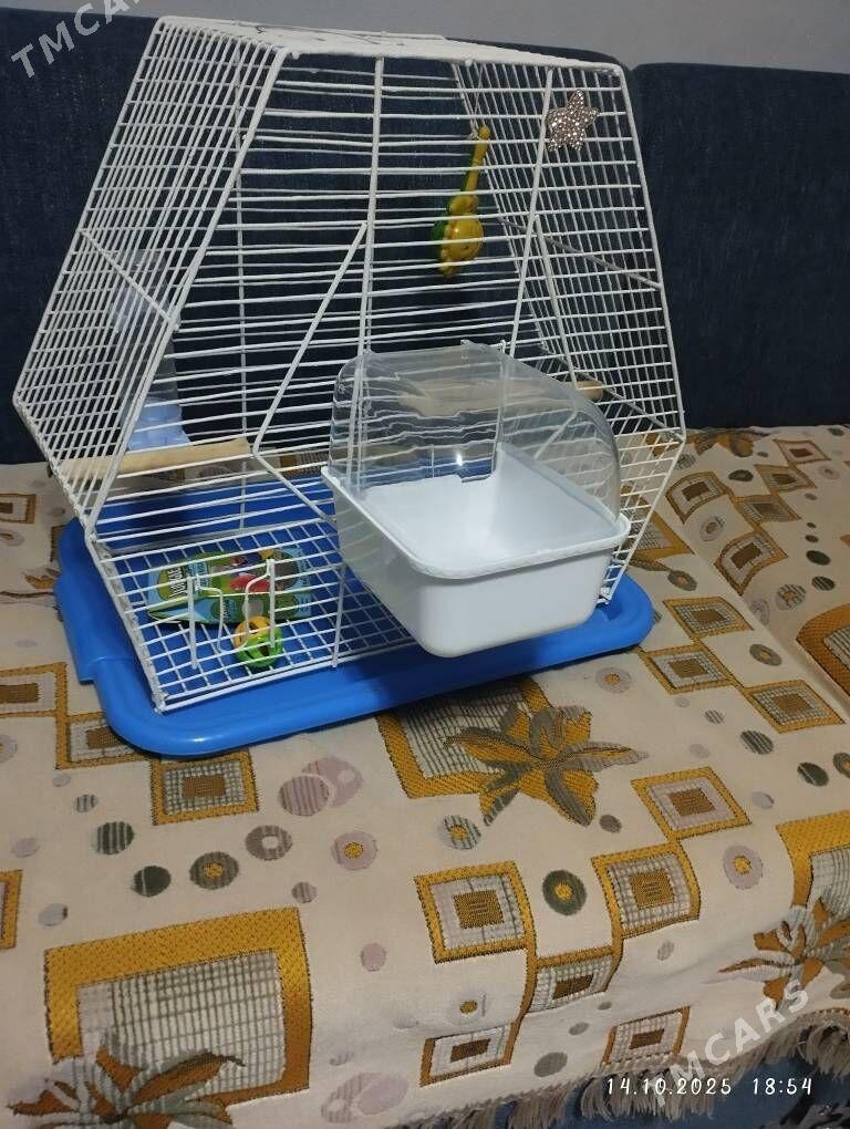 клетка для попугаев kletka - ул. Туркменбаши шаёлы (Ленина) - img 2