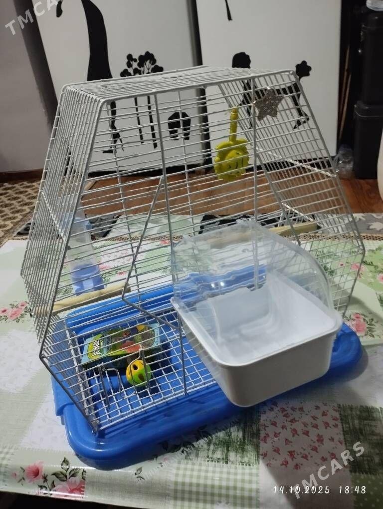 клетка для попугаев kletka - ул. Туркменбаши шаёлы (Ленина) - img 4