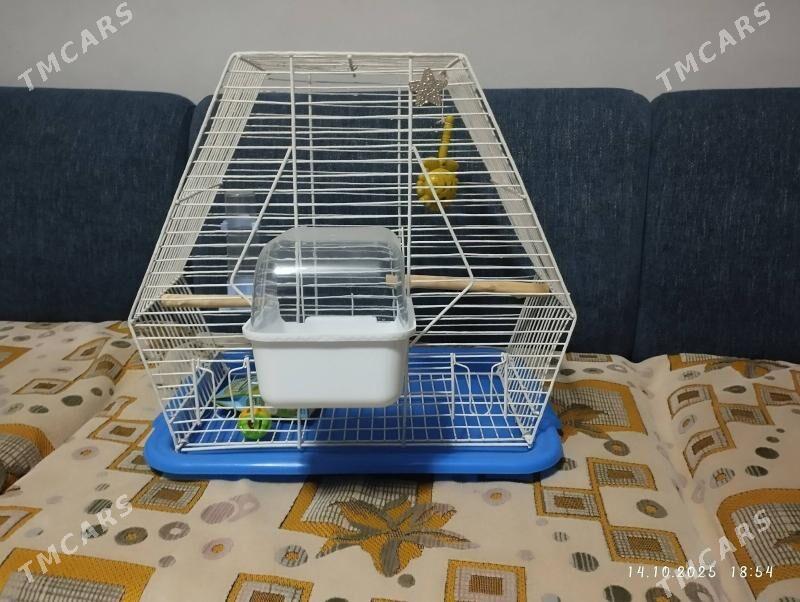 клетка для попугаев kletka - ул. Туркменбаши шаёлы (Ленина) - img 5