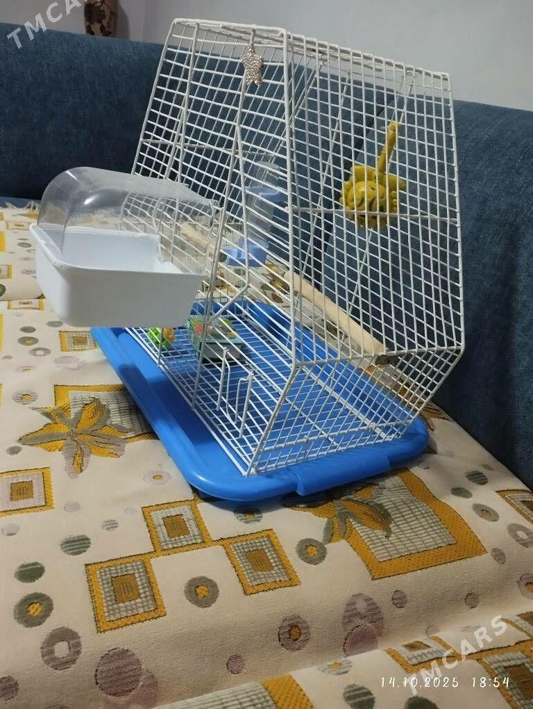 клетка для попугаев kletka - ул. Туркменбаши шаёлы (Ленина) - img 1