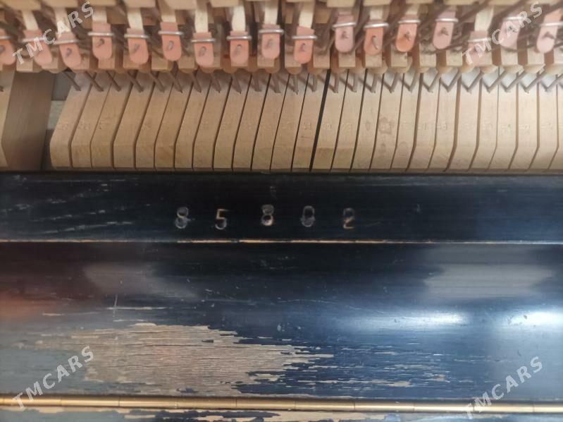 ПИАНИНО "БЕЛАРУС" - Howdan "B" - img 6