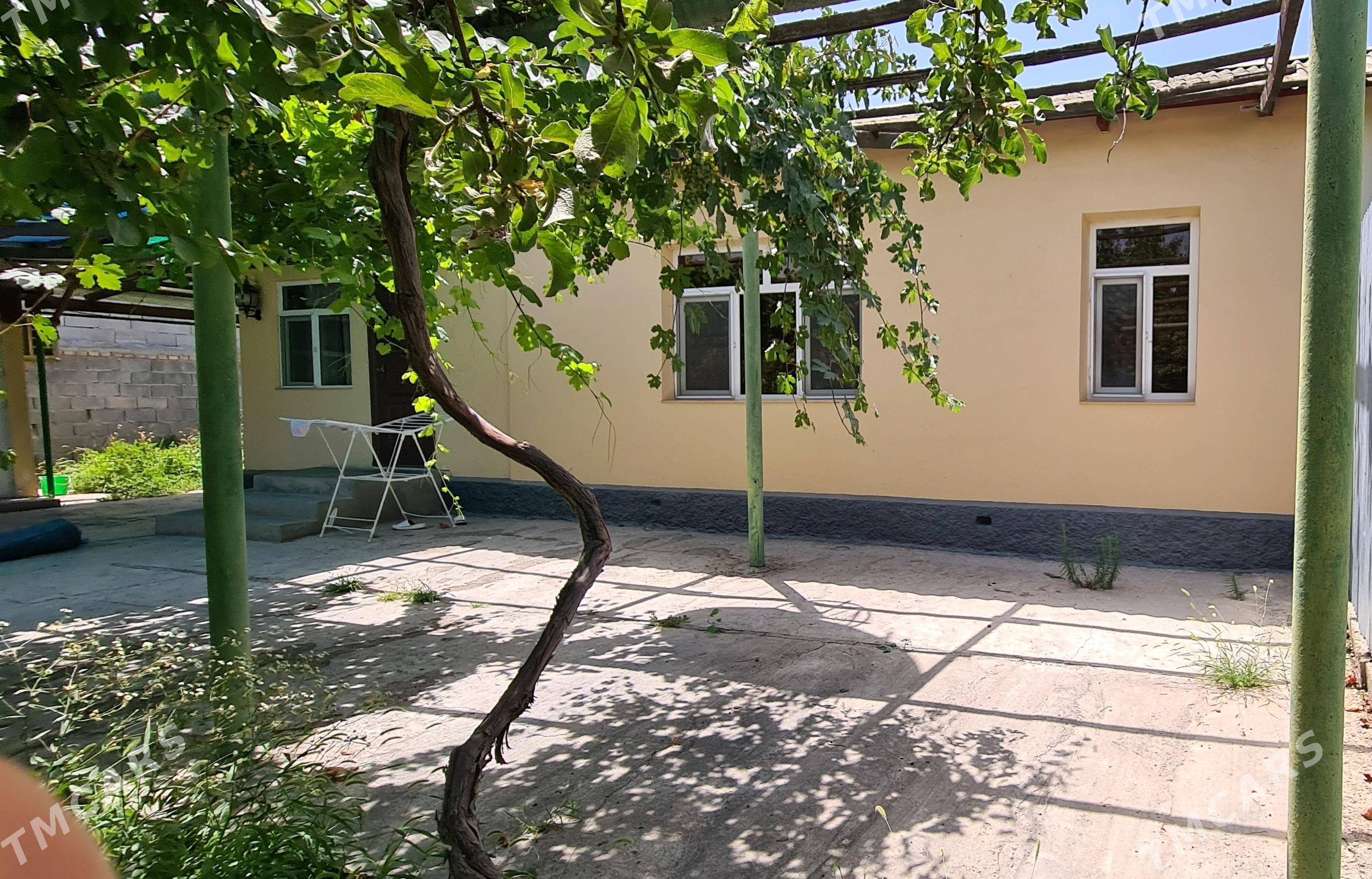 Bekrewe jay - Бекреве - img 2