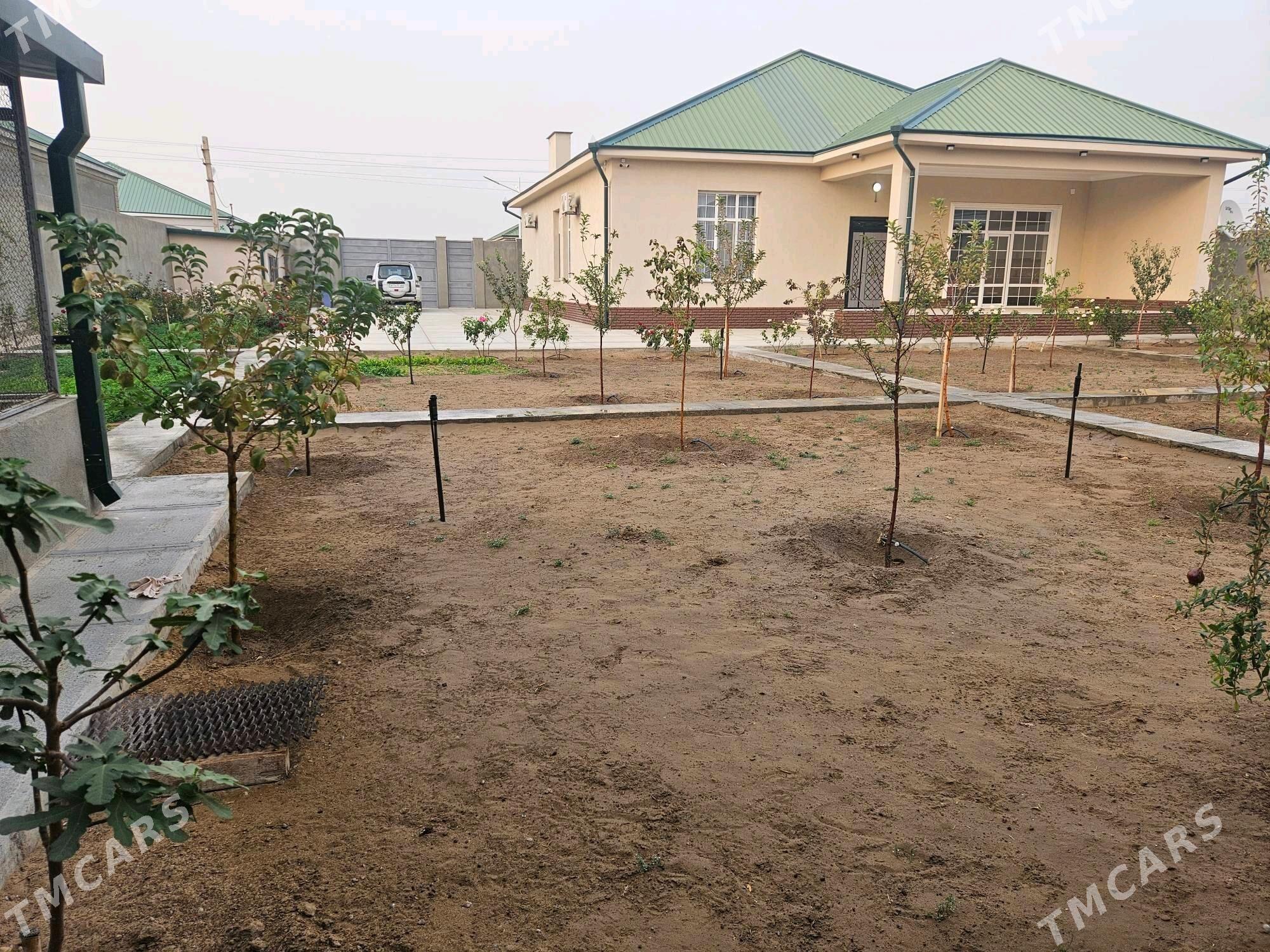 Magtymguly/Магтымгулы - Ак-Бугдайский этрап - img 9