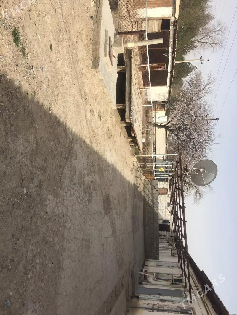 satlyk jaylar - Gyzylarbat - img 8