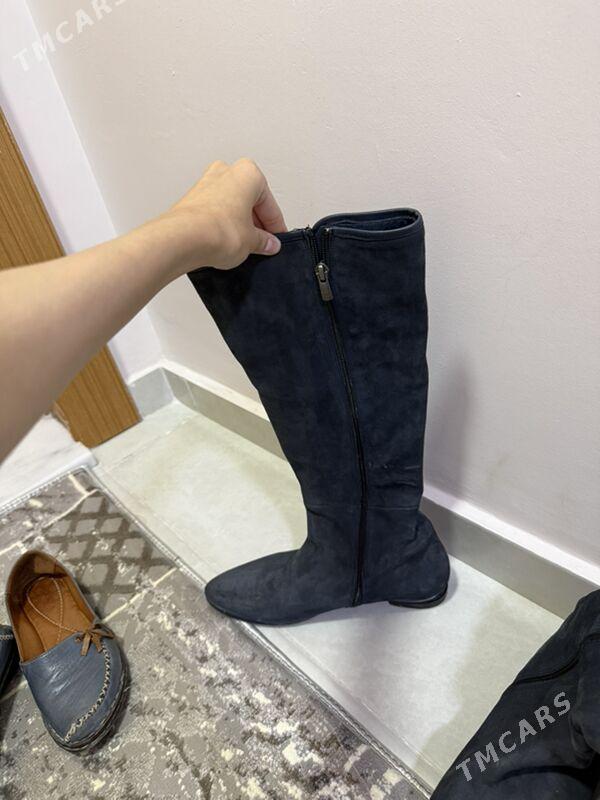 zamuź adik - Ашхабад - img 2