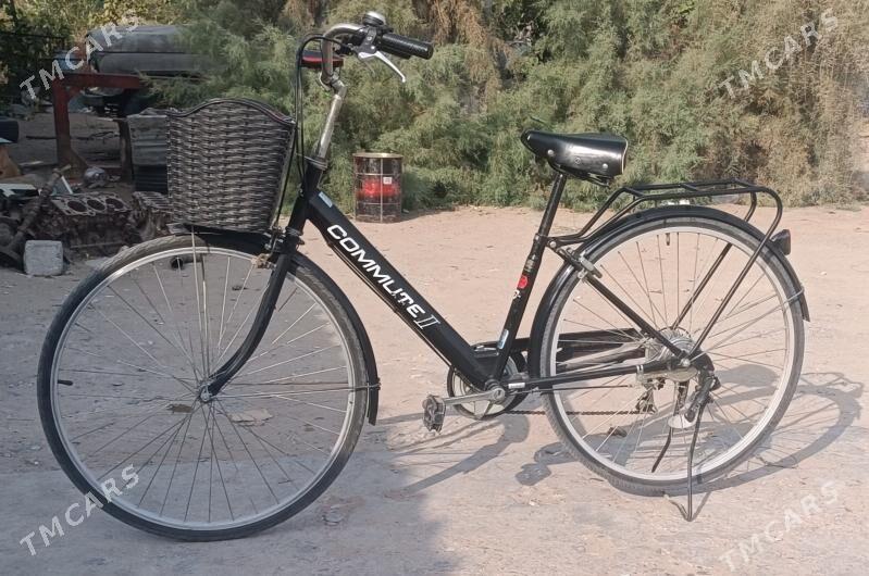 Welisoped - Şatlyk - img 2