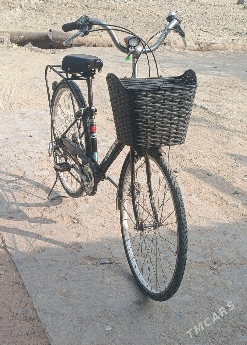 Welisoped - Şatlyk - img 1