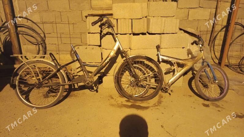 tigir - Кëши - img 1