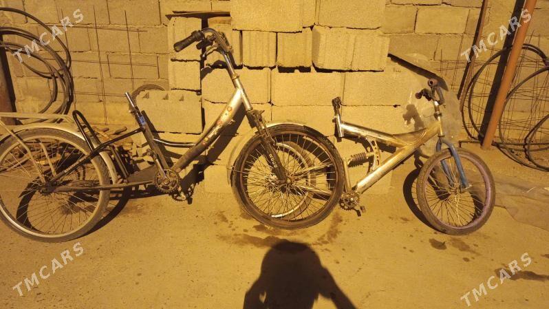 tigir - Кëши - img 7