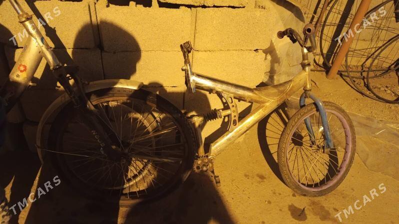 tigir - Кëши - img 5