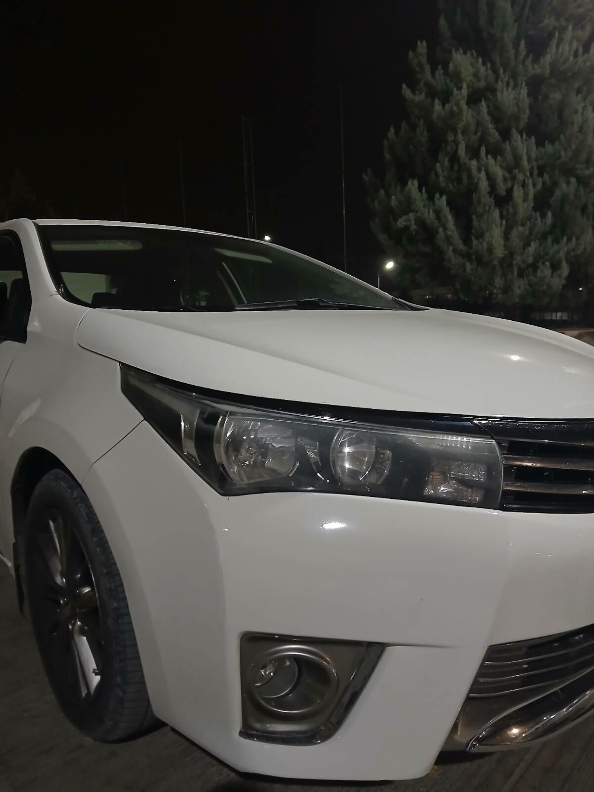 CAROLLA HALIJI FARA 14 2 200 TMT - Ашхабад - img 2