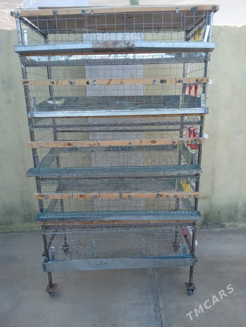 клетка для перепелов. - Туркменабат - img 4