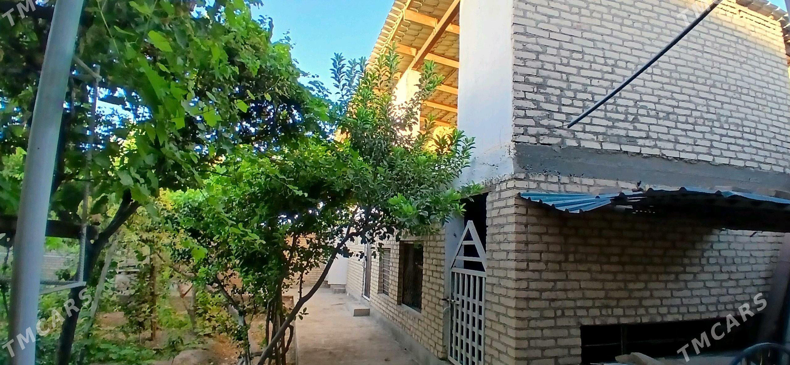 Kärende jaÿ Budÿon - Türkmenabat - img 4