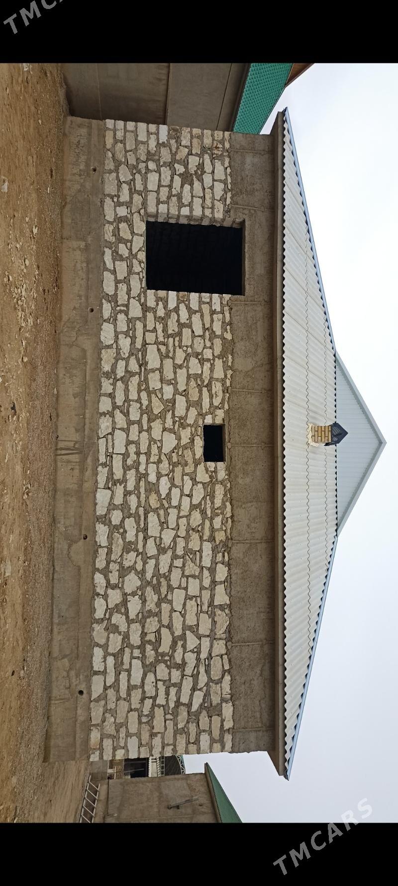 satlyk jaý - Jebel - img 3