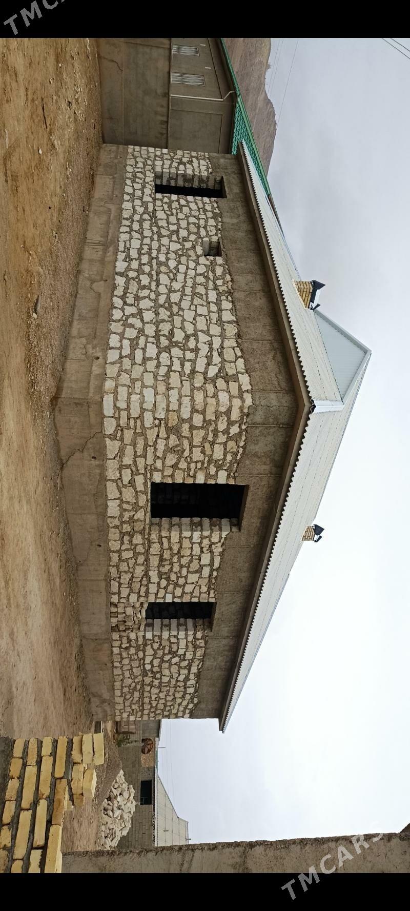 satlyk jaý - Jebel - img 5