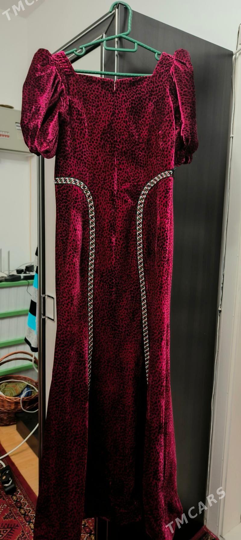 койнек - Мир 7 - img 4