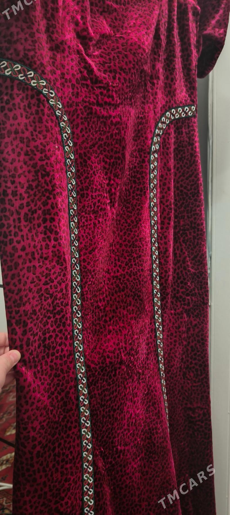 койнек - Мир 7 - img 5