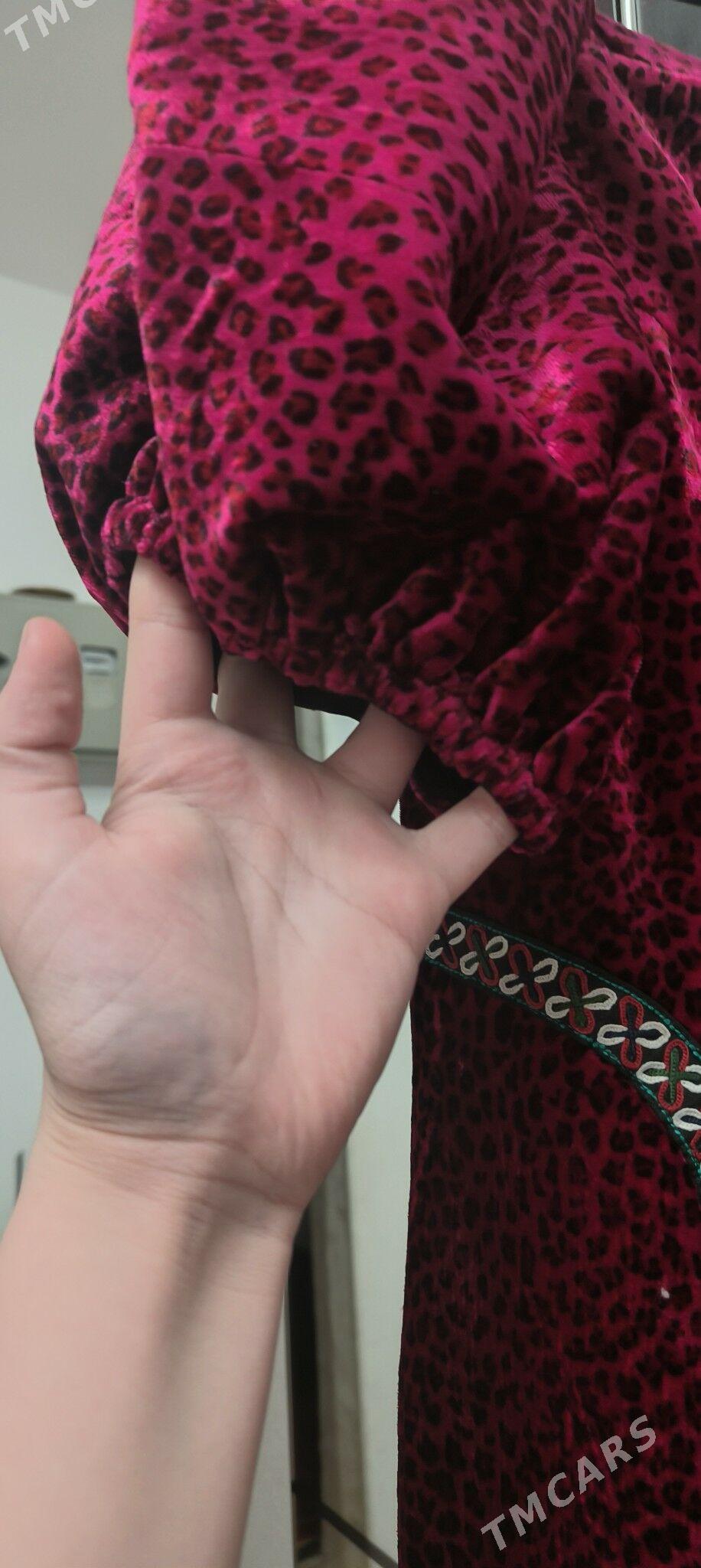 койнек - Мир 7 - img 1